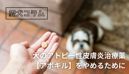 犬のアトピー性皮膚炎治療薬【アポキル】をやめるために